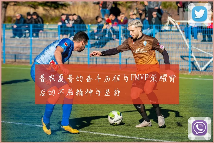 香农夏普的奋斗历程与FMVP荣耀背后的不屈精神与坚持
